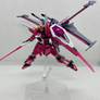HG 1/144 Infinite Justice Gundam Type II