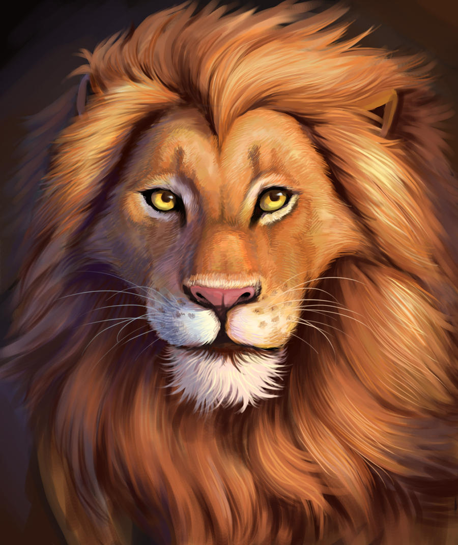 lion by swdd-cat on DeviantArt