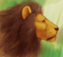 Lion's profile