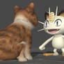 Meowth meets a Real Cat