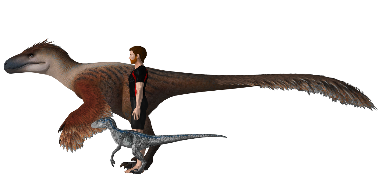The Scale of Raptors by SporemanJake on DeviantArt
