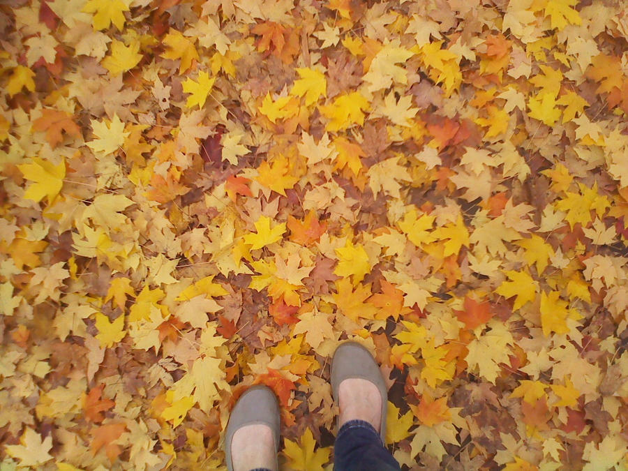 I Dig Fall I LOVE FALL by ThePaminator on DeviantArt