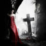 .when a dream falls.