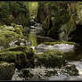 Fairy Glen, wales