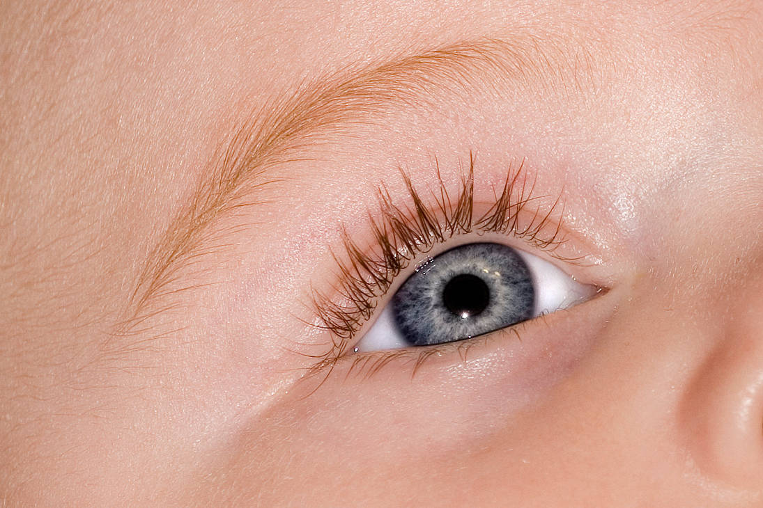 Breathtaking Harrison Eye Scene in 4K Breathtaking Harrison Eye Scene in 4K