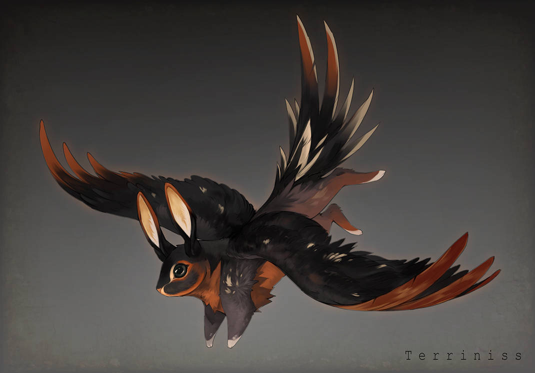 Skvader Png Skvader by Terriniss on DeviantArt