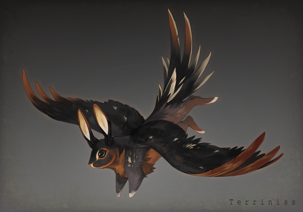 Skvader Svg Skvader by Terriniss on DeviantArt