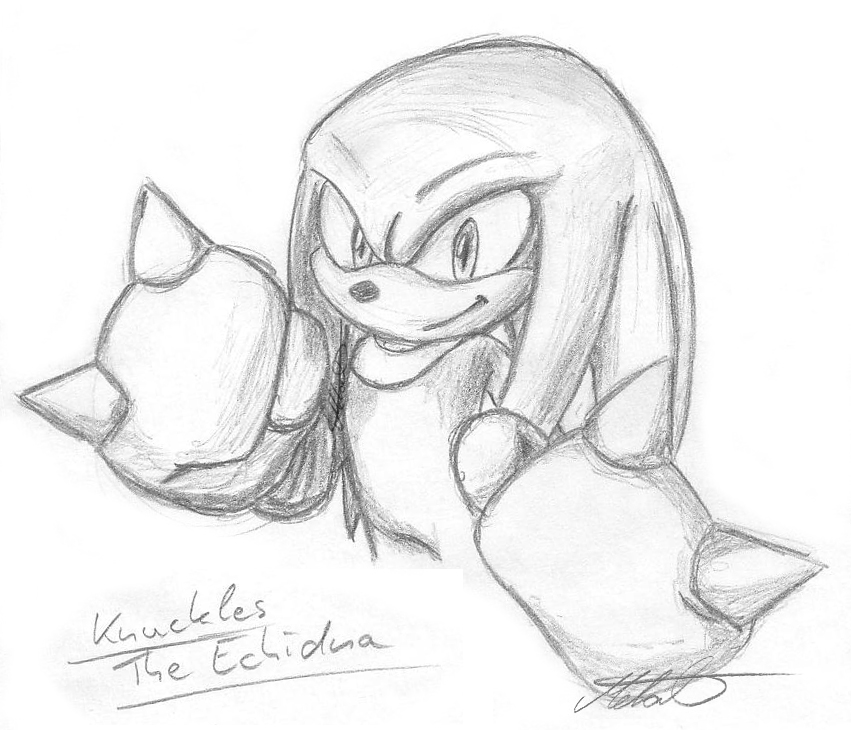 Knuckles Sketch