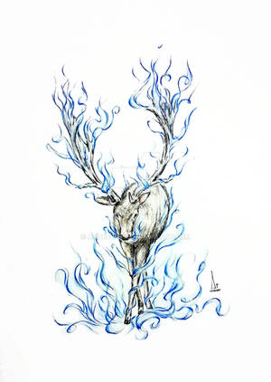 Stag by Andrew-AR Stag by Andrew-AR