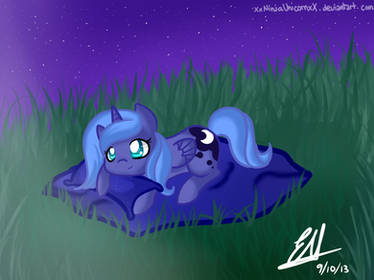 Chibi Luna: Show me how to raise the moon again!