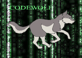 For CodeWolf
