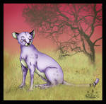 Davu by Davuu