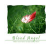 VART5717-WP08 Blood Angel