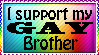 I support my gay brother