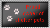 Proud owner of shelter pets