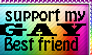 I support my gay bff