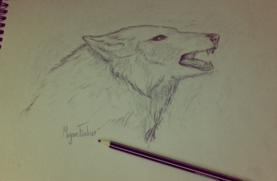 Just a rough sketch of a wolf.