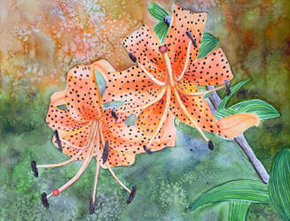 Pair of Tiger Lilies