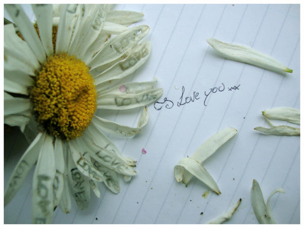 I Love You Flower