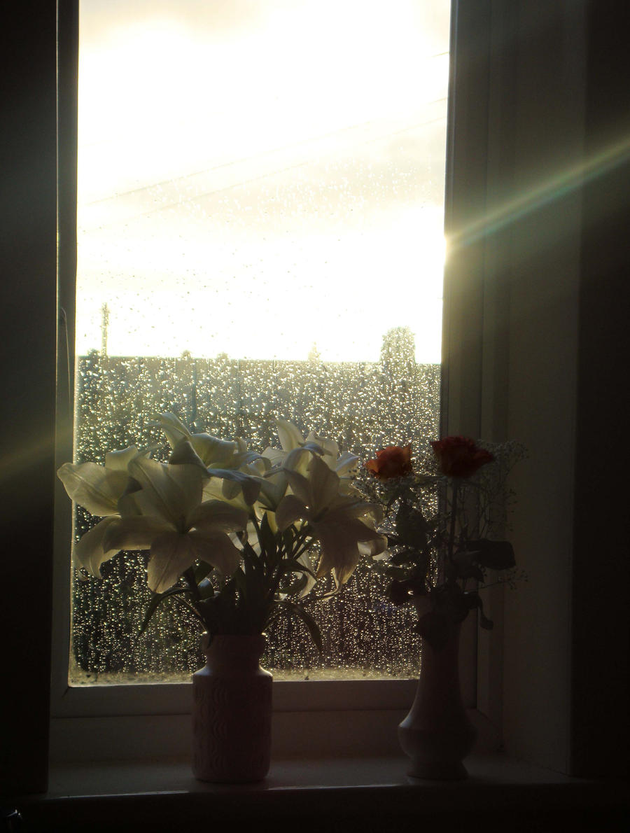 Flowers in the Wondow