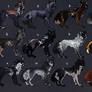 Wolf adopts // OPEN, 1 LEF5