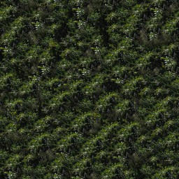 Ground Cover 4 by RLS0812 on DeviantArt