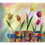 Pots of tulips. Free painting