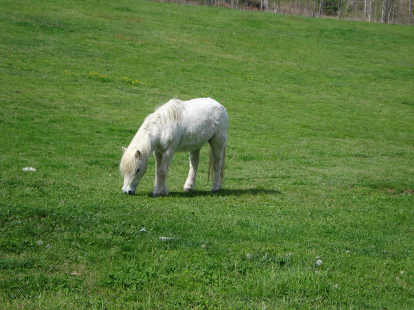 Beltane two