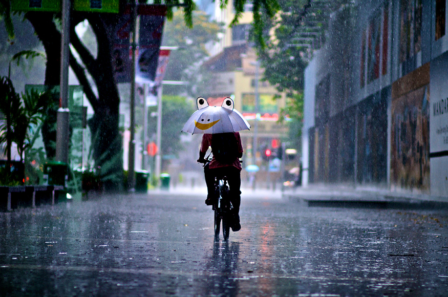 Happy Umbrella