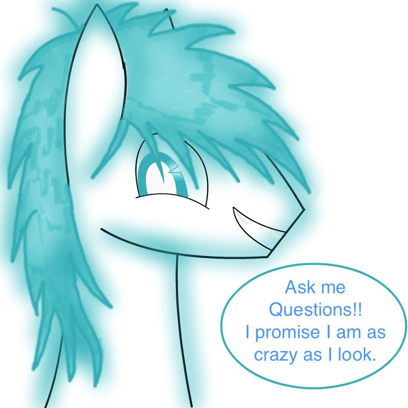 MLP Ask Snow Blitz