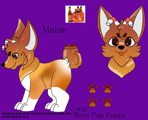 Maine |pup poppy|