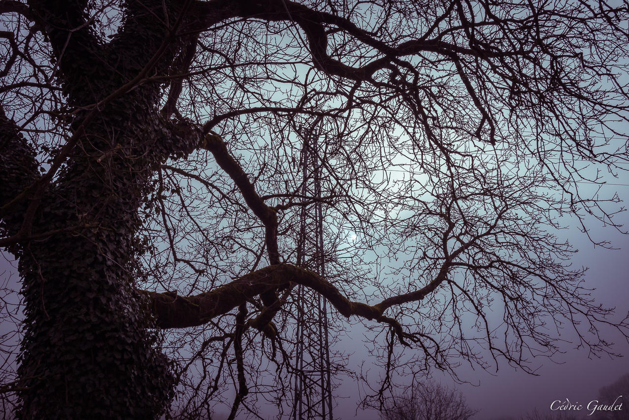 The one who wants to hide the pylon