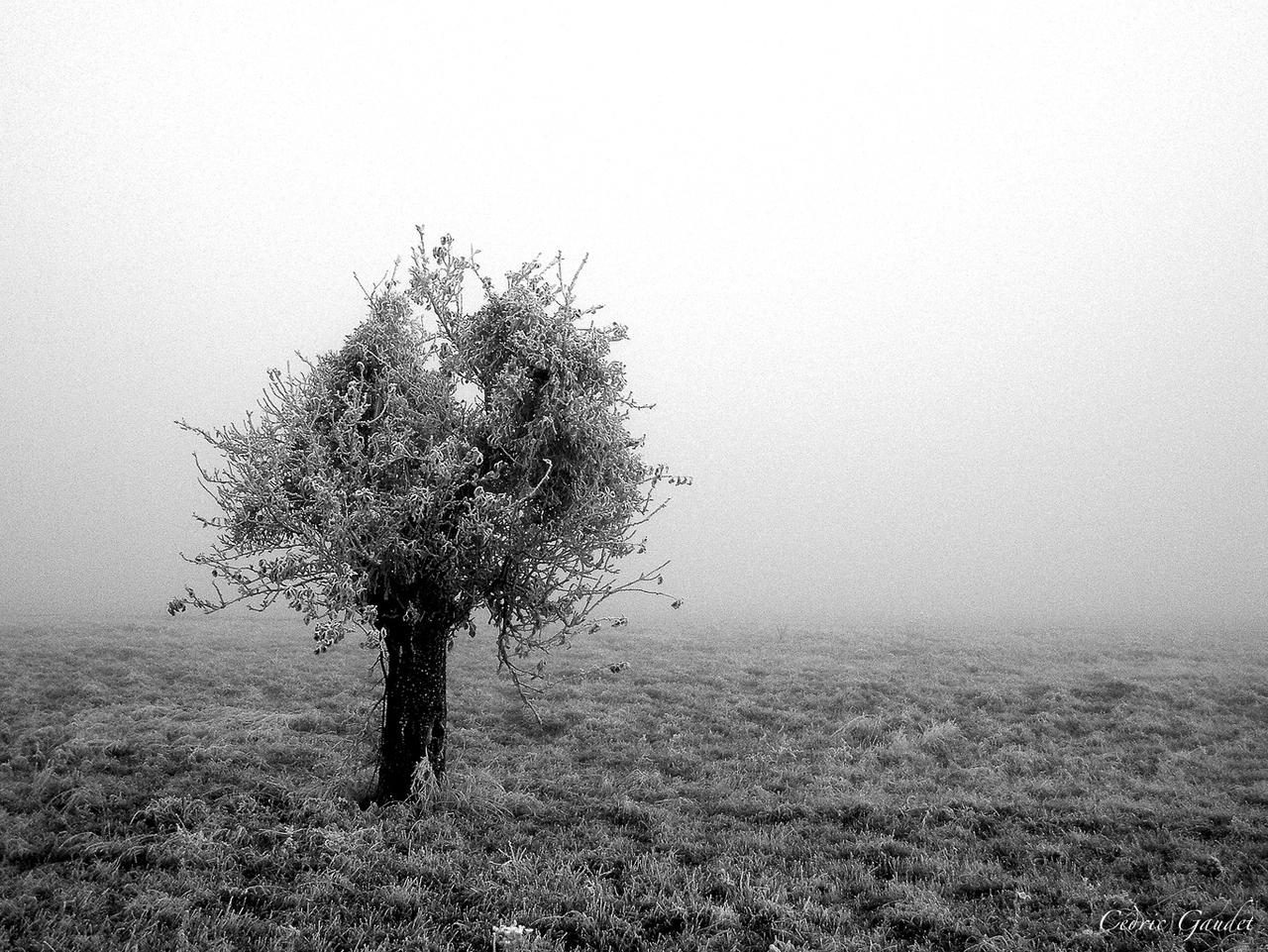 The one in the middle of nowhere