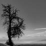 Eternal life