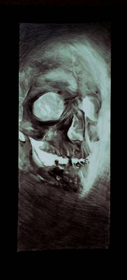 Inverted Skull4