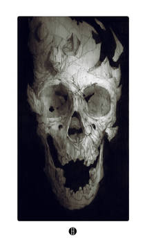 Fragmented skull