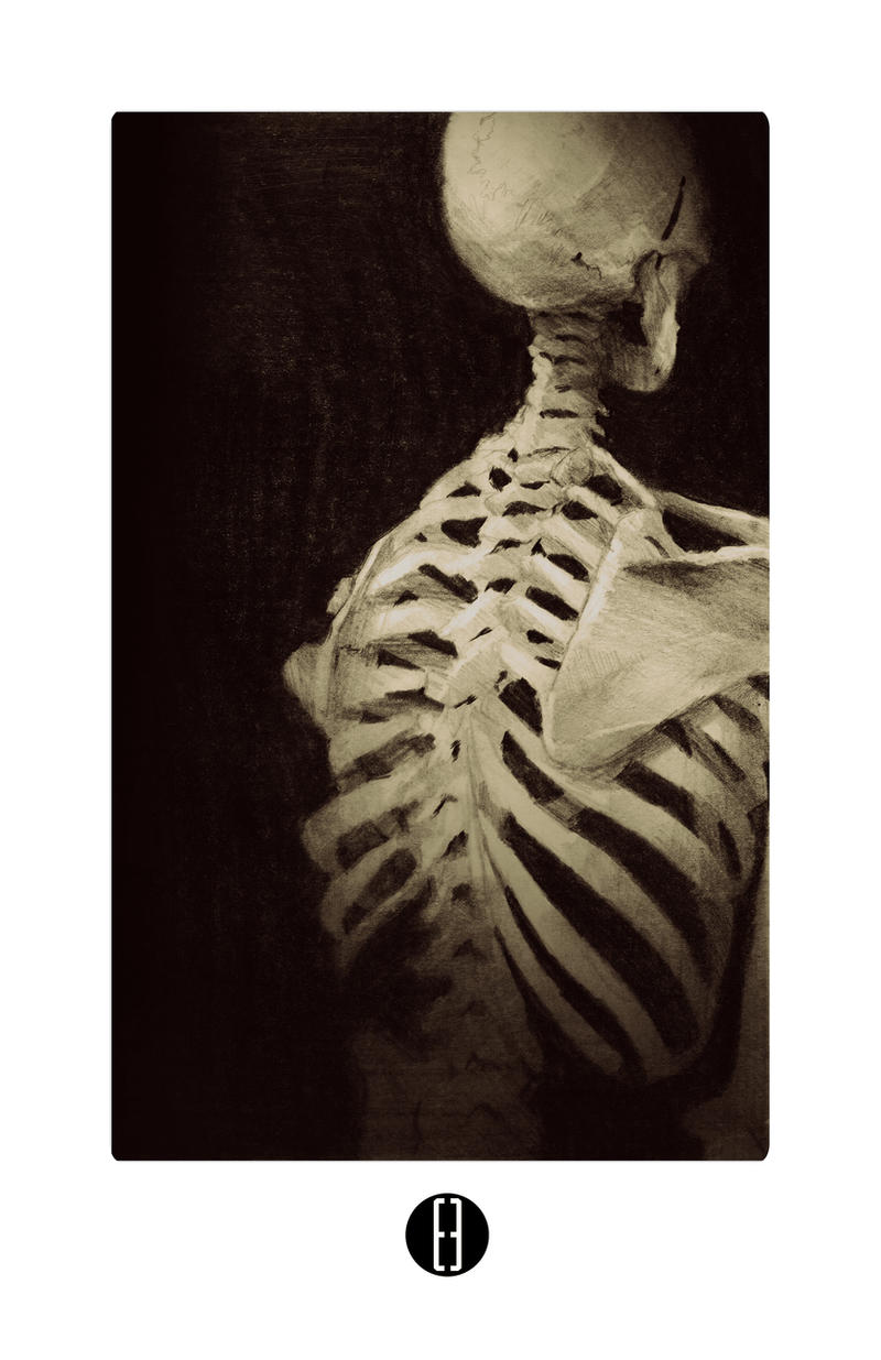 Skeleton Study