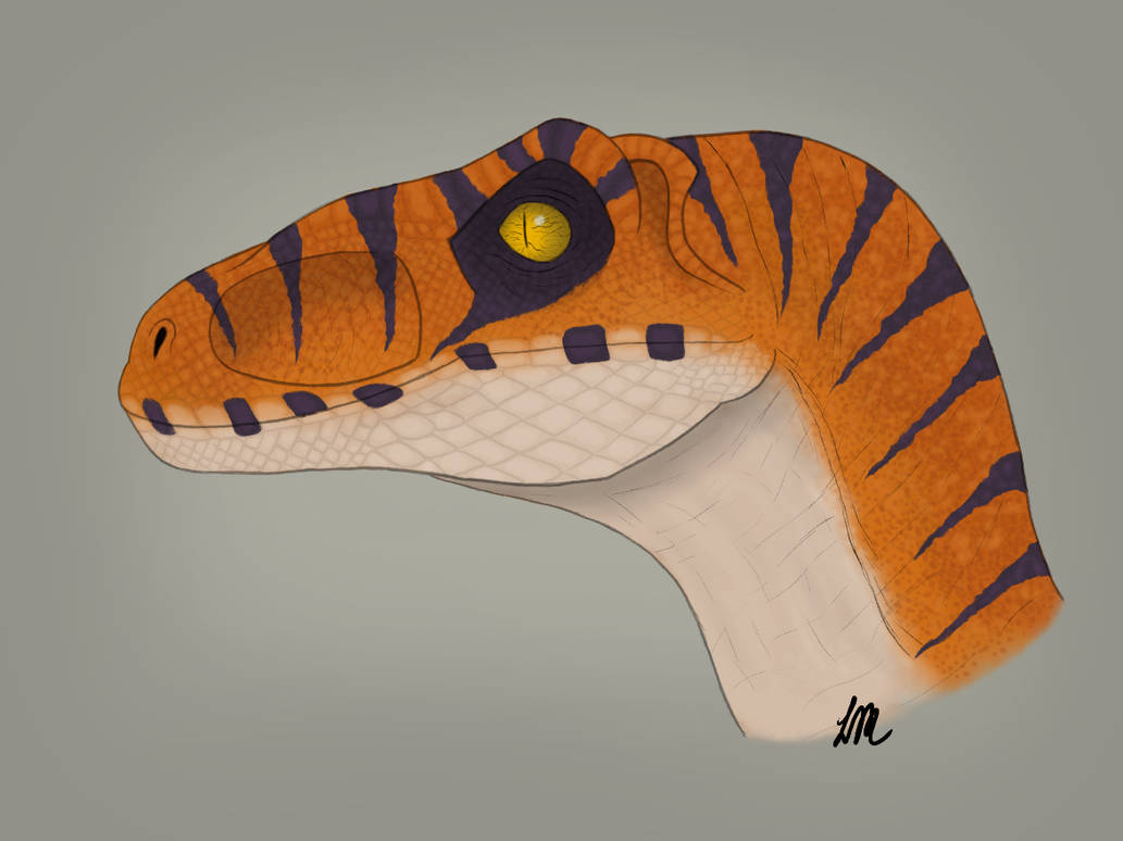 Tiger Pattern Raptor Tiger Raptor - JP:TLW by DinoLogan on DeviantArt