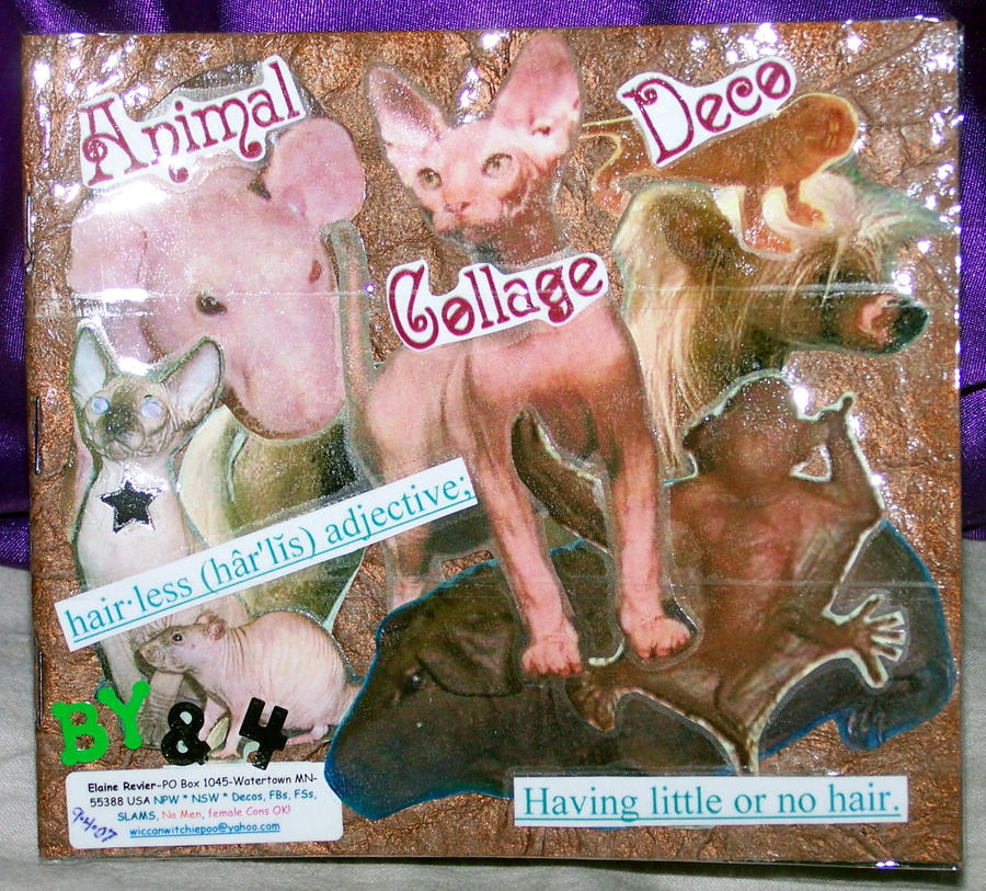 Animal Collage Deco 9-4-07