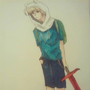 Finn the human