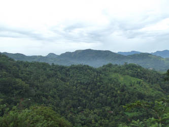 A Sri Lankan Morning