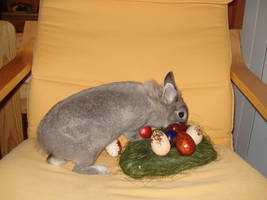 Lujza starring as Easter bunny