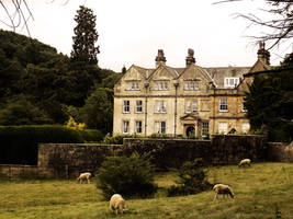 In The Country