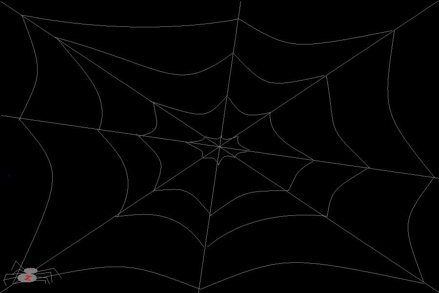 Spider web