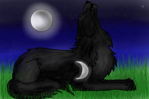 CS Midnight Wolf Pic