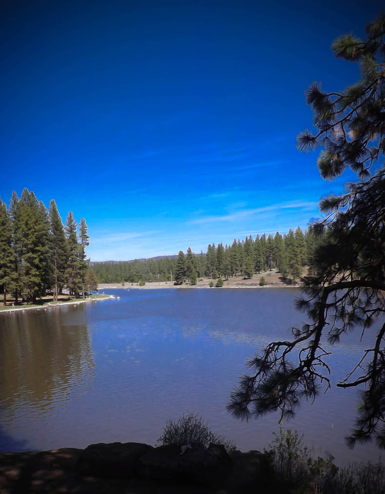 Blue splendor:) by TinaBoBinaArt on DeviantArt