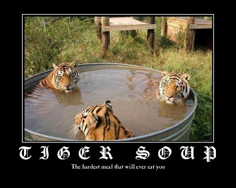 Tiger Soup