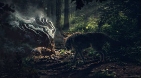 Erikshoemaker Hobbyist Digital Artist Deviantart Erikshoemaker Hobbyist Digital Artist Deviantart