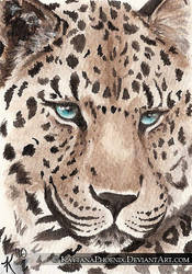 ACEO Leopard