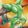 Pokemon - Treecko